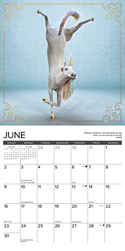 Willow Creek Press Unicorn Yoga Monthly 2024 Wall Calendar (12" x 12")