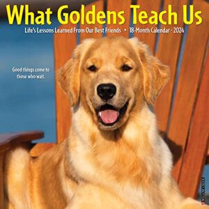 willow creek press what goldens teach us monthly 2024 wall calendar (12" x 12")