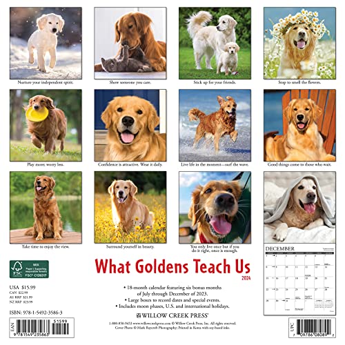 Willow Creek Press What Goldens Teach Us Monthly 2024 Wall Calendar (12" x 12")