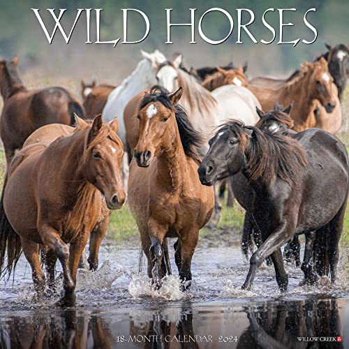 Willow Creek Press Wild Horses Monthly 2024 Wall Calendar (12" x 12")