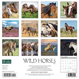 Willow Creek Press Wild Horses Monthly 2024 Wall Calendar (12" x 12")