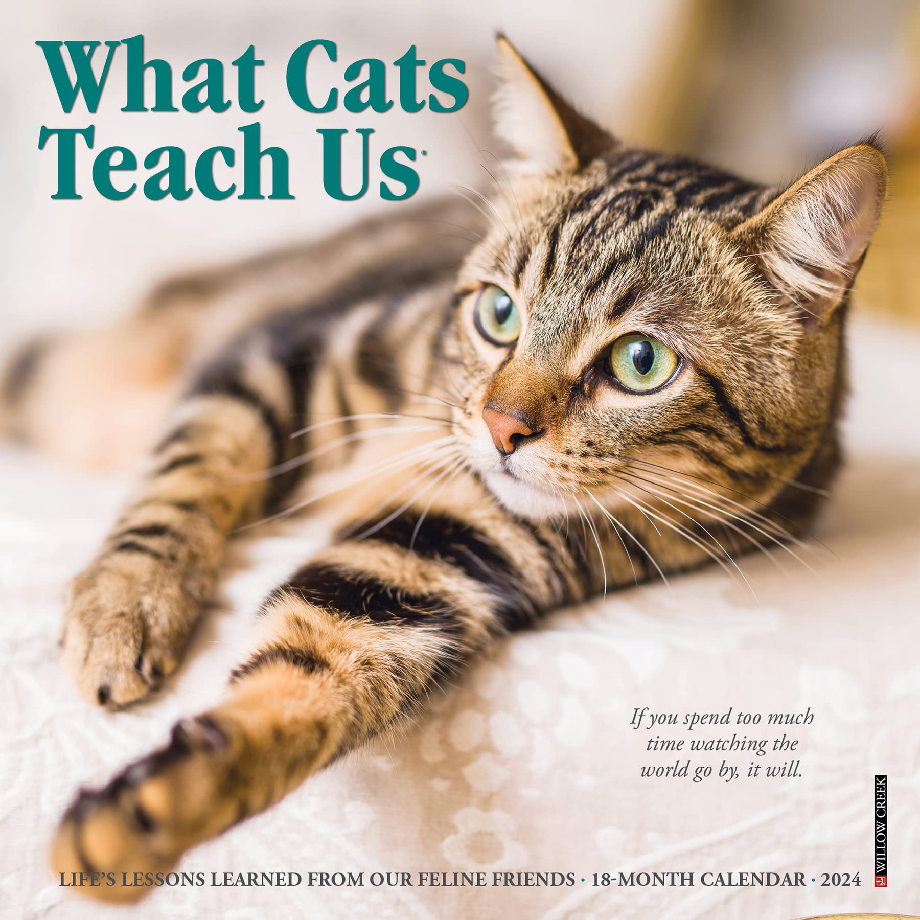 Willow Creek Press What Cats Teach Us Monthly Mini 2024 Wall Calendar (7" x 7")