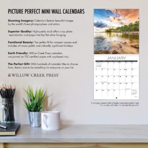 Willow Creek Press What Cats Teach Us Monthly Mini 2024 Wall Calendar (7" x 7")