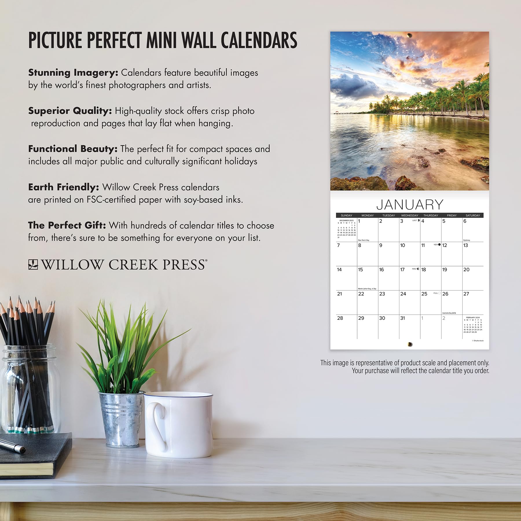 Willow Creek Press What Cats Teach Us Monthly Mini 2024 Wall Calendar (7" x 7")