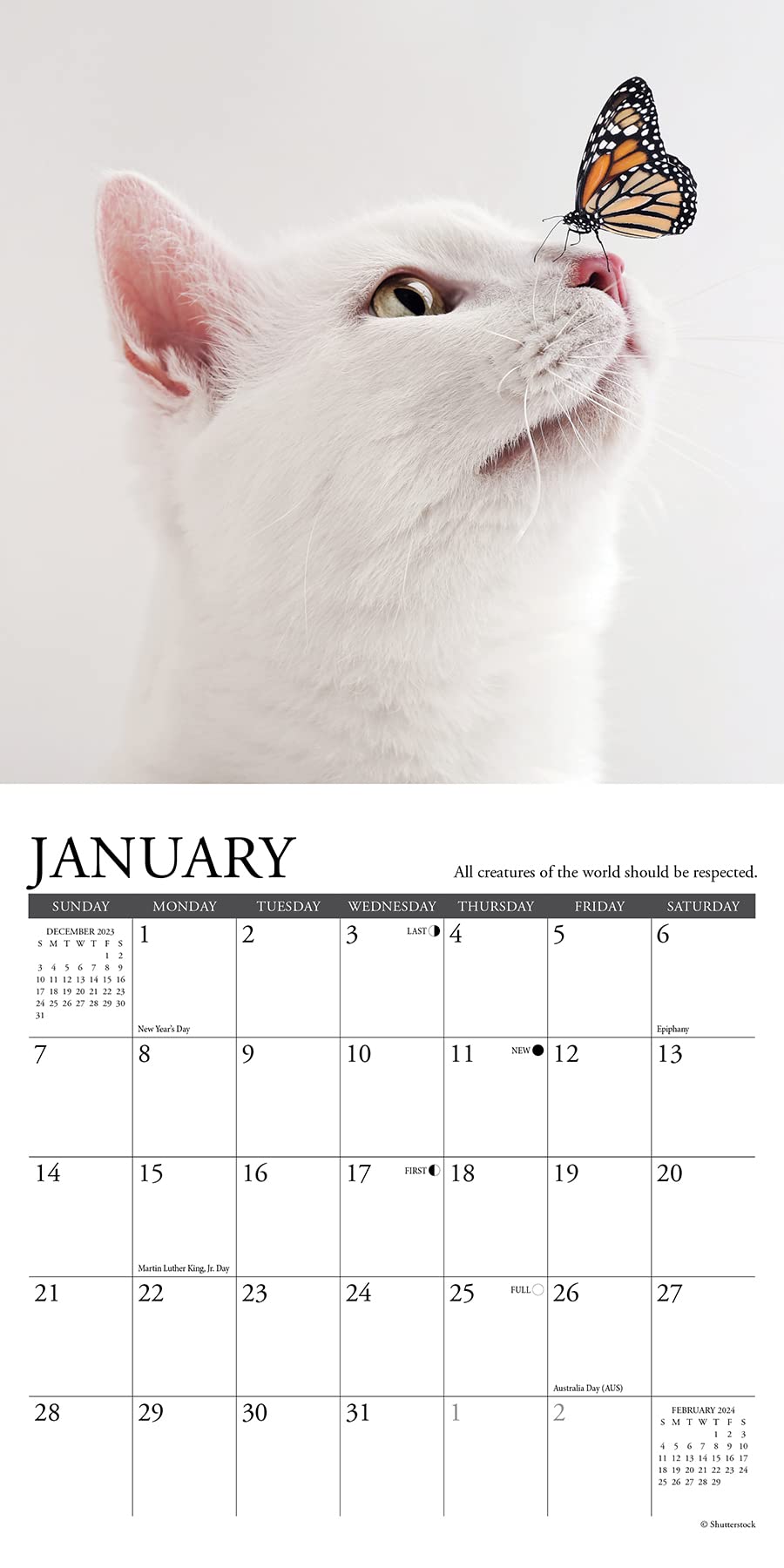 Willow Creek Press What Cats Teach Us Monthly Mini 2024 Wall Calendar (7" x 7")