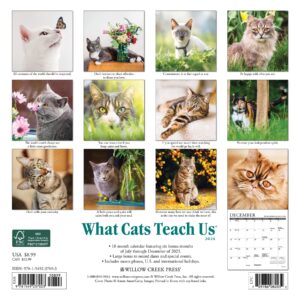 Willow Creek Press What Cats Teach Us Monthly Mini 2024 Wall Calendar (7" x 7")