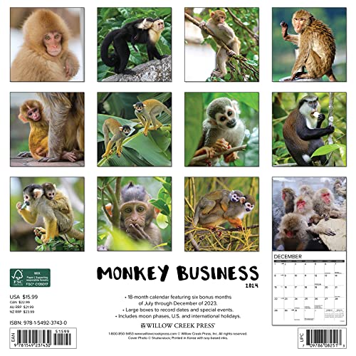 Willow Creek Press Monkey Business Monthly 2024 Wall Calendar (12" x 12")