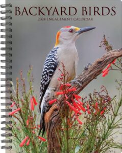 willow creek press backyard birds softcover weekly planner 2024 spiral-bound engagement calendar (6.5" x 8.5")