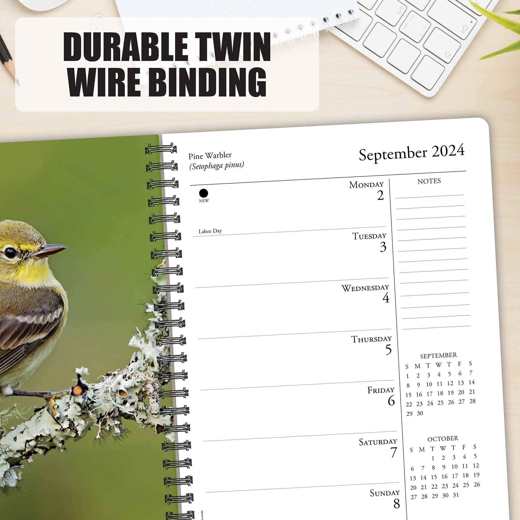 Willow Creek Press Backyard Birds Softcover Weekly Planner 2024 Spiral-Bound Engagement Calendar (6.5" x 8.5")