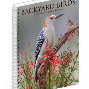 Willow Creek Press Backyard Birds Softcover Weekly Planner 2024 Spiral-Bound Engagement Calendar (6.5" x 8.5")