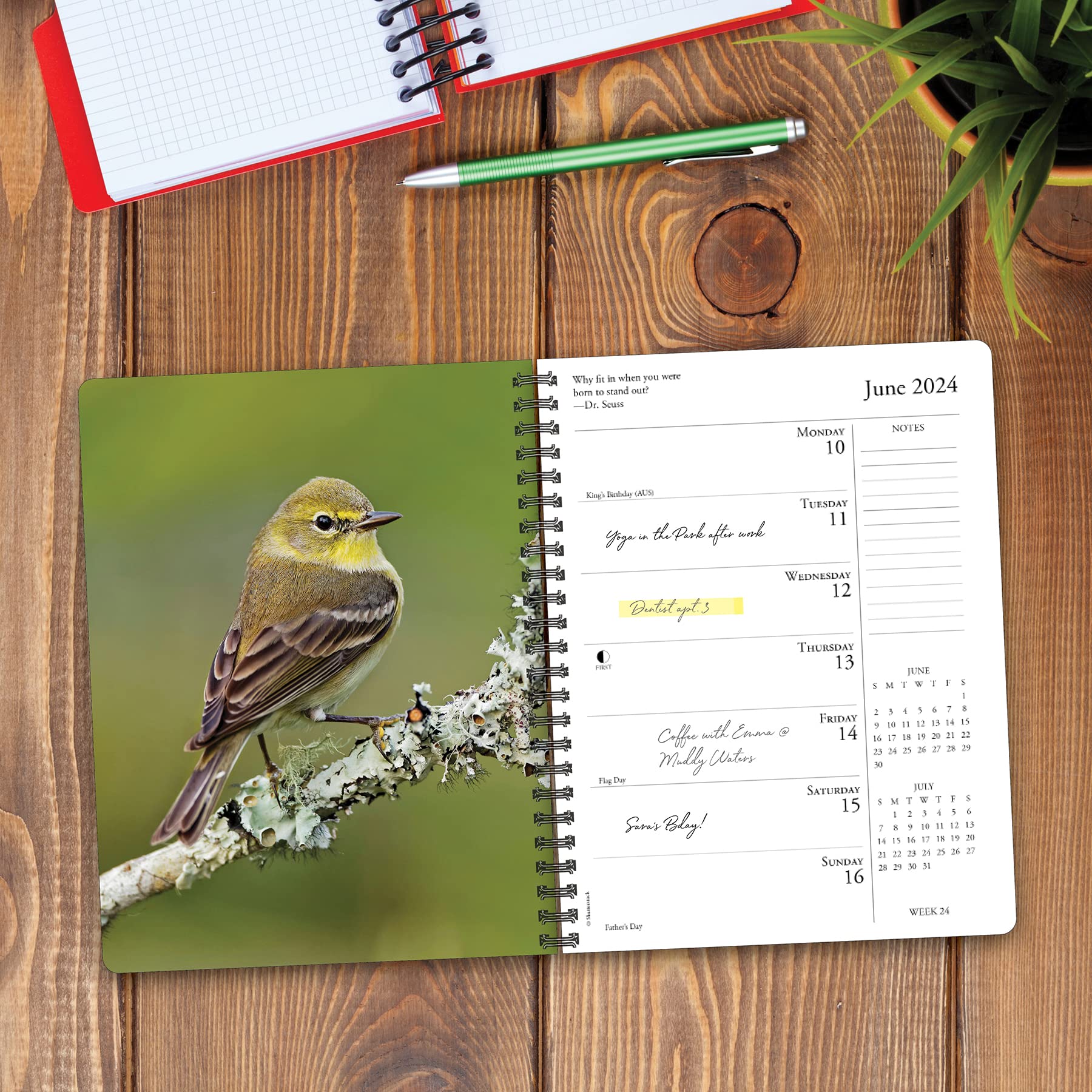 Willow Creek Press Backyard Birds Softcover Weekly Planner 2024 Spiral-Bound Engagement Calendar (6.5" x 8.5")