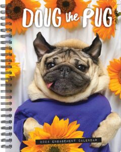 willow creek press doug the pug softcover weekly planner 2024 spiral-bound engagement calendar (6.5" x 8.5")