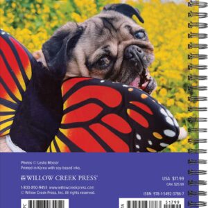 Willow Creek Press Doug the Pug Softcover Weekly Planner 2024 Spiral-Bound Engagement Calendar (6.5" x 8.5")