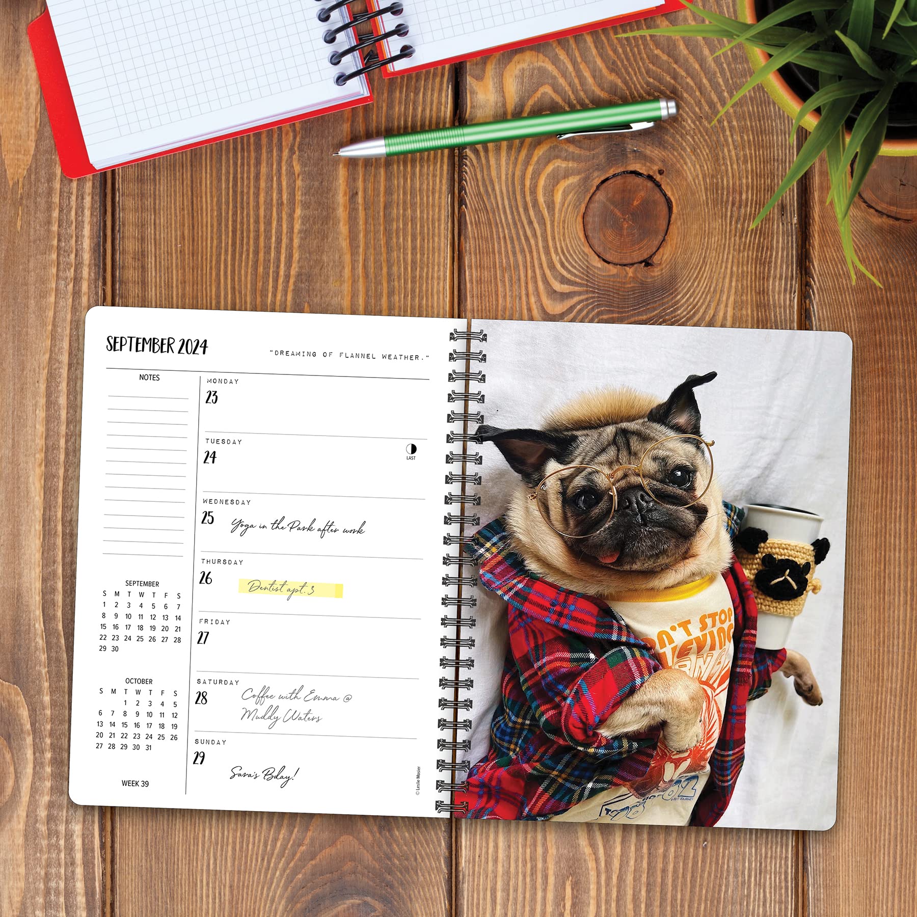 Willow Creek Press Doug the Pug Softcover Weekly Planner 2024 Spiral-Bound Engagement Calendar (6.5" x 8.5")