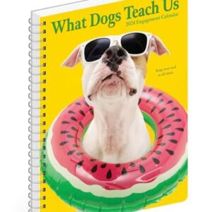 Willow Creek Press What Dogs Teach Us Softcover Weekly Planner 2024 Spiral-Bound Engagement Calendar (6.5" x 8.5")