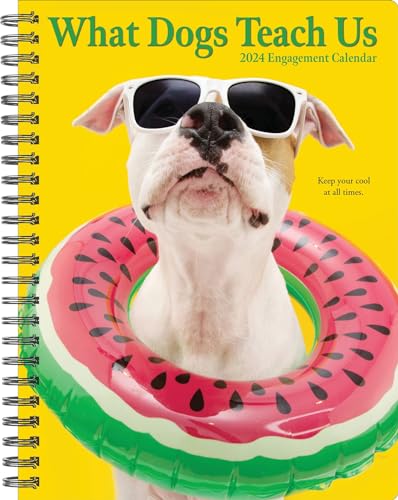 Willow Creek Press What Dogs Teach Us Softcover Weekly Planner 2024 Spiral-Bound Engagement Calendar (6.5" x 8.5")