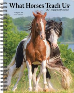 willow creek press what horses teach us softcover weekly planner 2024 spiral-bound engagement calendar (6.5" x 8.5")