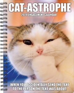willow creek press cat-astrophe softcover weekly planner 2024 spiral-bound engagement calendar (6.5" x 8.5")