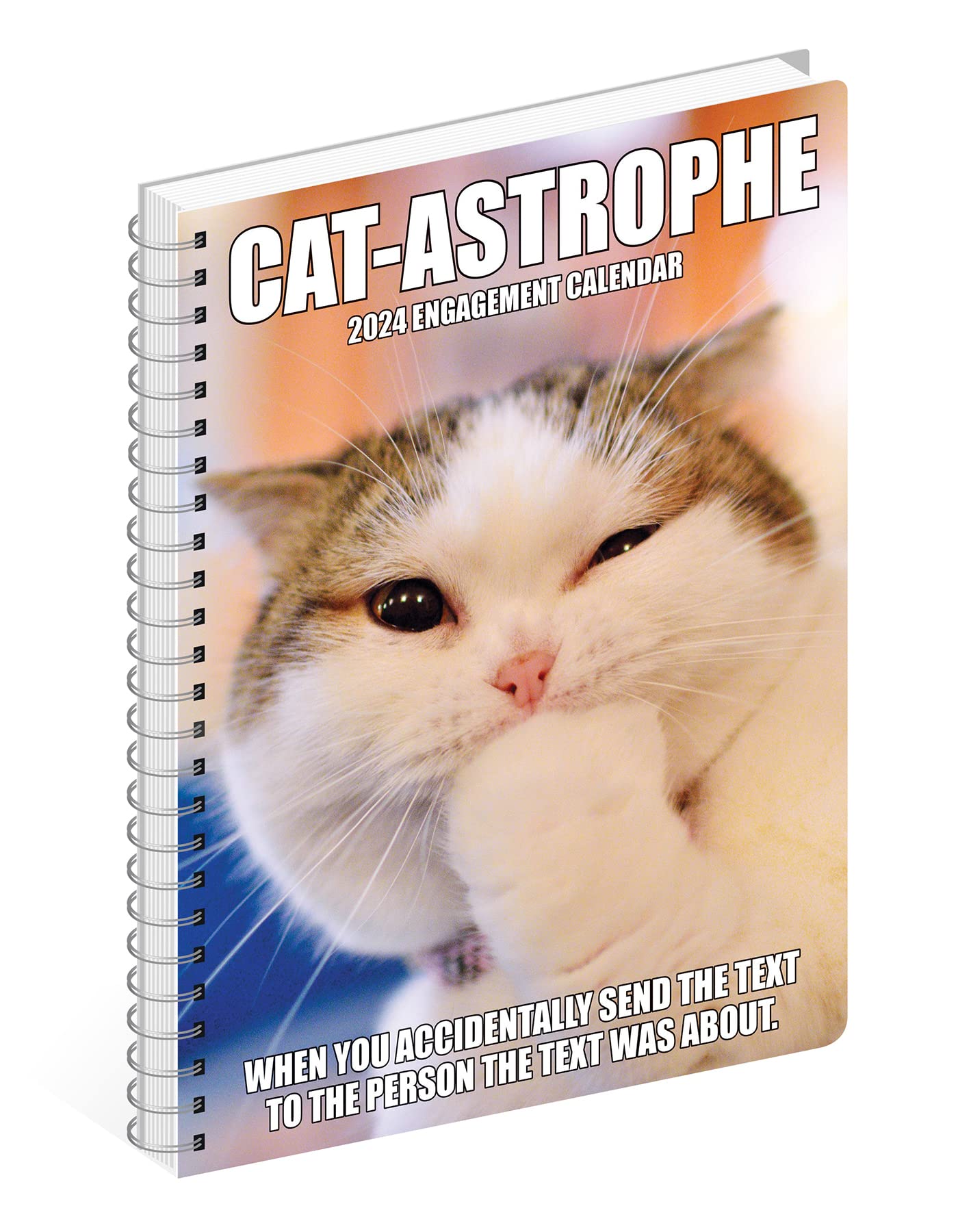 Willow Creek Press Cat-astrophe Softcover Weekly Planner 2024 Spiral-Bound Engagement Calendar (6.5" x 8.5")