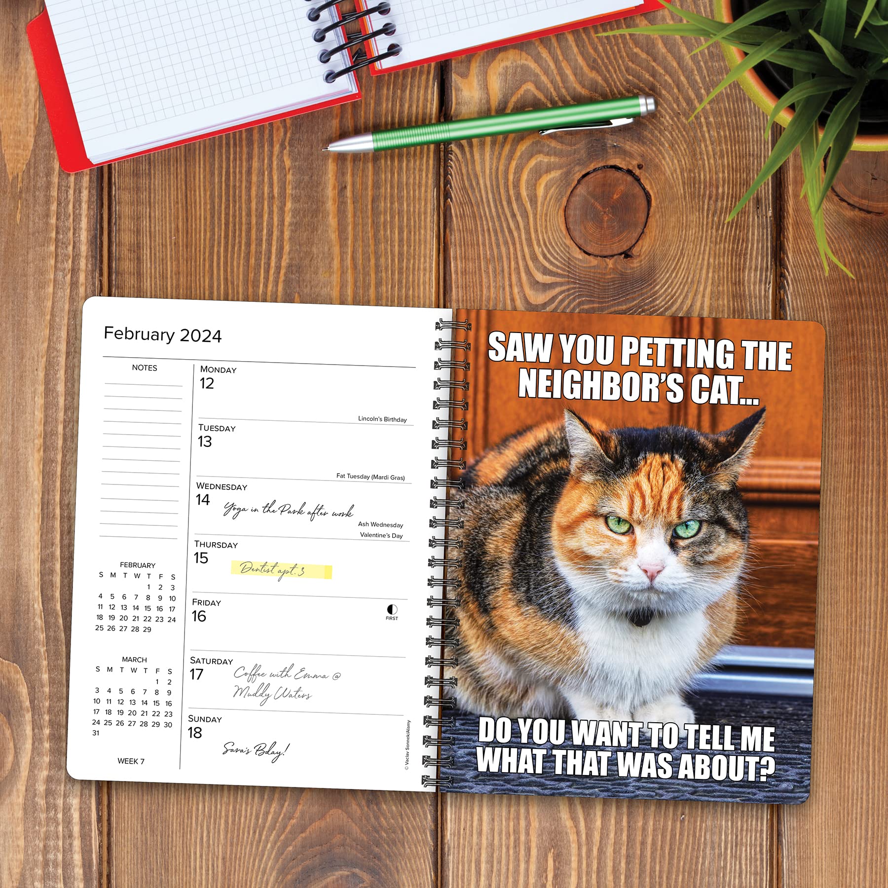 Willow Creek Press Cat-astrophe Softcover Weekly Planner 2024 Spiral-Bound Engagement Calendar (6.5" x 8.5")