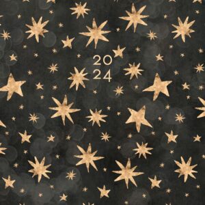 Willow Creek Press Starry Night 2024 Booklet Softcover Monthly Planner (7.5" x 9.5")