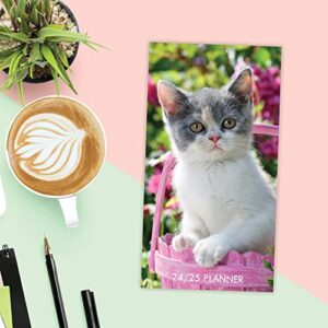 Willow Creek Press Cute As A Kitten 2-Year January 2024 - December 2025 Monthly Pocket Planner (3.5" x 6.5")