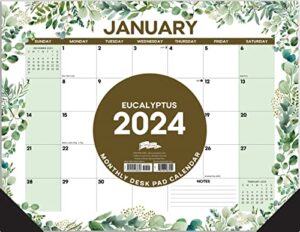 willow creek press eucalyptus & succulents monthly 2024 deskpad calendar (22" x 17")