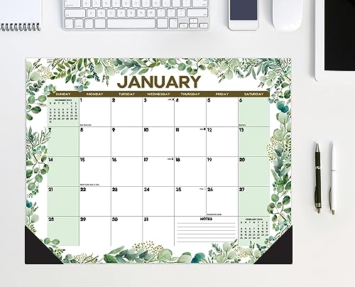 Willow Creek Press Eucalyptus & Succulents Monthly 2024 Deskpad Calendar (22" x 17")