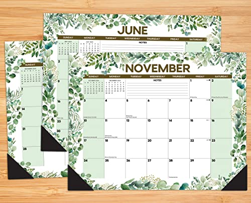 Willow Creek Press Eucalyptus & Succulents Monthly 2024 Deskpad Calendar (22" x 17")