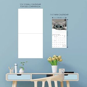 Graphique 2024 Classic Cats Mini Wall Calendar | 7” x 7” | Thick Paper | Home & Office Organizer | Large Monthly Grid | 3 Languages & Marked Holidays | 4 Month Preview Page for 2025