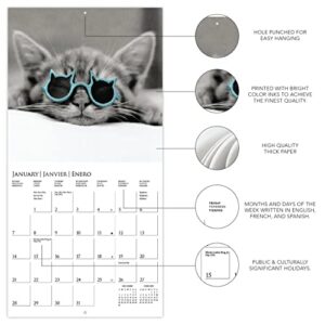 Graphique 2024 Classic Cats Mini Wall Calendar | 7” x 7” | Thick Paper | Home & Office Organizer | Large Monthly Grid | 3 Languages & Marked Holidays | 4 Month Preview Page for 2025