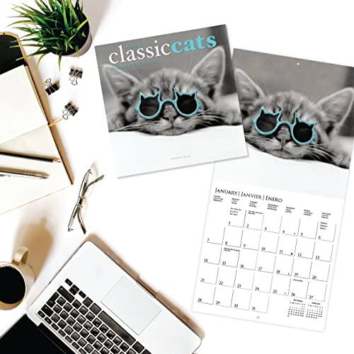 Graphique 2024 Classic Cats Mini Wall Calendar | 7” x 7” | Thick Paper | Home & Office Organizer | Large Monthly Grid | 3 Languages & Marked Holidays | 4 Month Preview Page for 2025