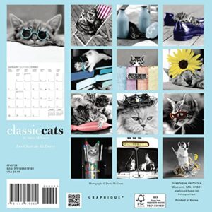 Graphique 2024 Classic Cats Mini Wall Calendar | 7” x 7” | Thick Paper | Home & Office Organizer | Large Monthly Grid | 3 Languages & Marked Holidays | 4 Month Preview Page for 2025