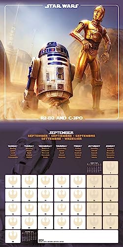 Star Wars Calendar 2024 (Classic Design) - Month to a View Planner 30cm x 30cm - Official Merchandise