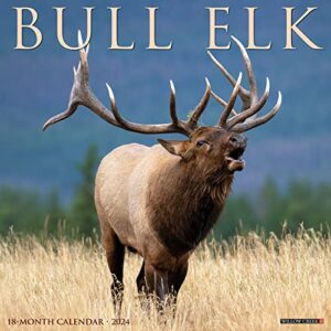willow creek press bull elk 2024 12" x 12" wall calendar