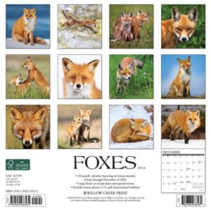 Willow Creek Press Foxes Monthly 2024 Wall Calendar (12" x 12")