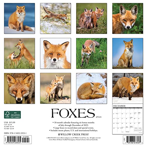 Willow Creek Press Foxes Monthly 2024 Wall Calendar (12" x 12")