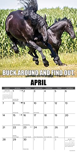 Willow Creek Press Horsin’ Around Monthly 2024 Wall Calendar (12" x 12")