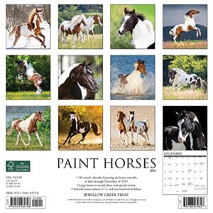 Willow Creek Press Paint Horses Monthly 2024 Wall Calendar (12" x 12")