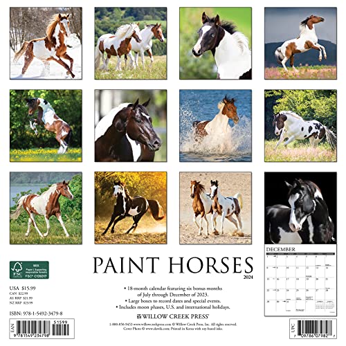 Willow Creek Press Paint Horses Monthly 2024 Wall Calendar (12" x 12")