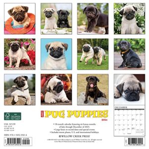 Willow Creek Press Pug Puppies Monthly 2024 Wall Calendar (12" x 12")