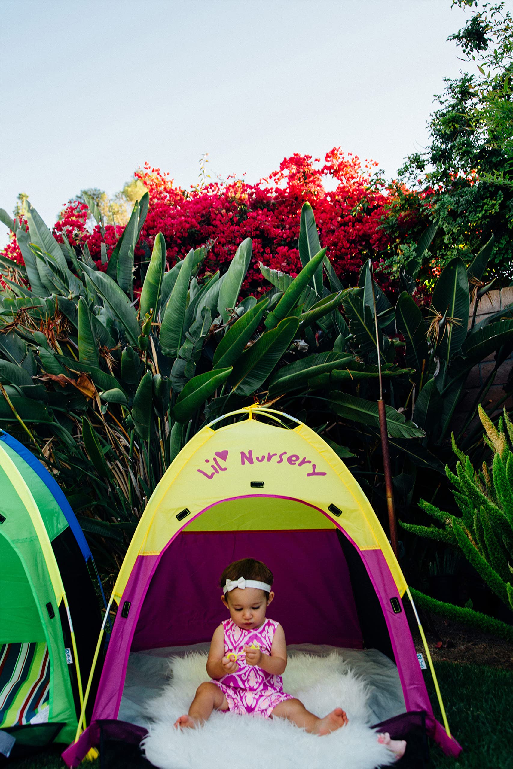 Lil Nursery Tent 36 in x 36 In