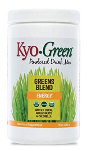 kyo-green green blends energy powered drink mix, 10 ounce bottle