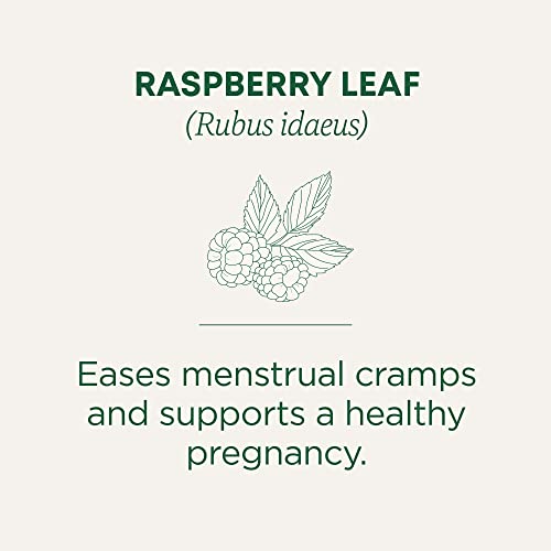 Traditional Medicinals Tea, Organic Raspberry Leaf, Eases Menstrual Cramps, Supports a Healthy Pregnancy, 96 Tea Bags (6 Pack)