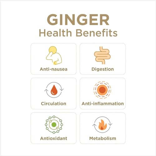 GIN GINS Original Ginger Chews by The Ginger People – Anti-Nausea and Digestion Aid, Individually Wrapped Healthy Candy – Original Flavor, 3 Oz Bag (Pack of 1)