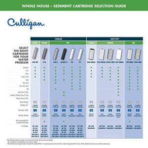 Culligan P5A P5 Whole House Premium Water Filter, 8,000 Gallons, 2 Count (Pack of 1), White