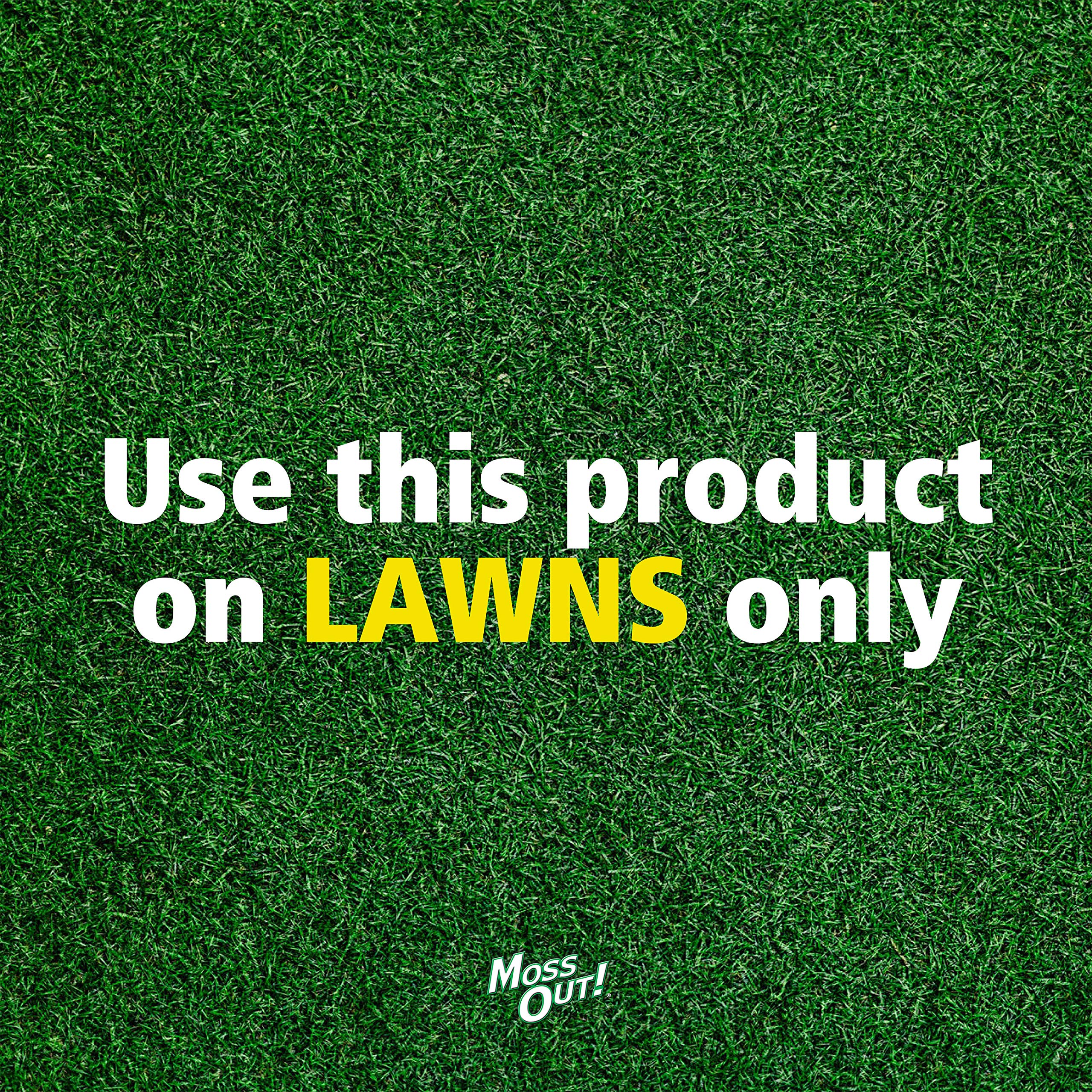 CENTRAL GARDEN BRANDS Lilly Miller Moss Out for Lawns Ready to Spray 32oz, 1-(Pack)