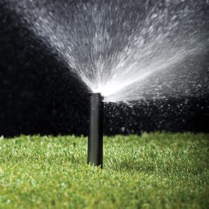 Rain Bird 12DSH Dual Spray Nozzle, 180° Half Circle Pattern, 9' - 12' Spray Distance