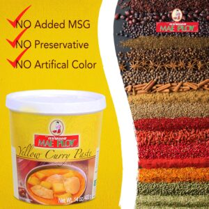 Mae Ploy Thai Yellow Curry Paste for Restaurant-Quality Curries, Aromatic Blend of Herbs, Spices & Shrimp Paste, No MSG, Preservatives or Artificial Coloring (14oz Tub)