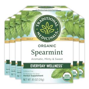 traditional medicinals tea, organic spearmint, supports everyday wellness, healthy & refreshing, 16 count (pack of 6)